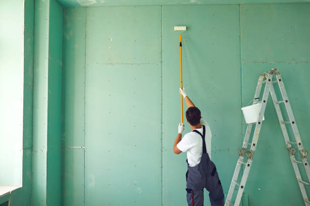 Best Ceiling Drywall Installation  in Sunland Park, NM